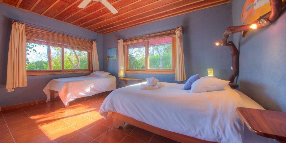 Sapo or Frog room is located in the Main Lodge and is considered a standard room. Sapo comes with one queen and one single bed